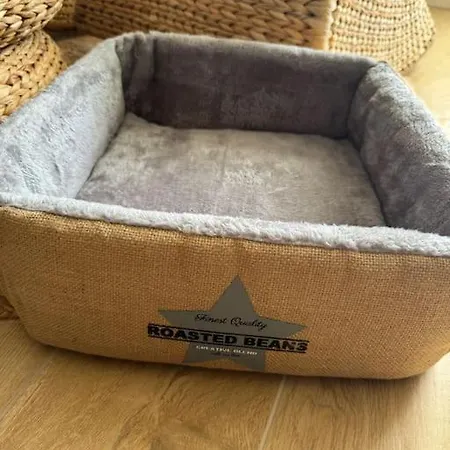 Vicino Al Centro E Politecnico Apartment Turin